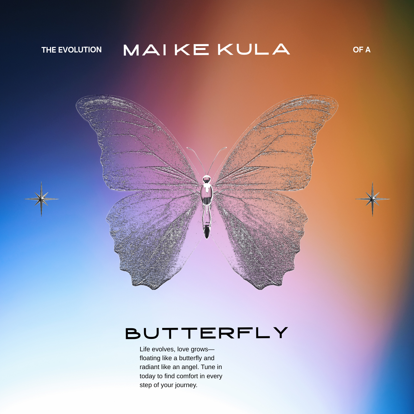 No evolution of a butterfly