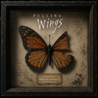 Pulling Wings artwork