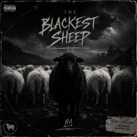 The blackest sheep (song i wrote for yagami light) artwork