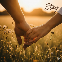 Stay artwork