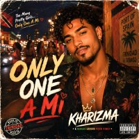 ONLY ONE A MI artwork